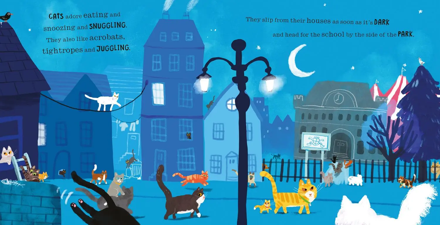 Bild: 9780008469184 | Cats in Chaos | Peter Bently | Taschenbuch | Kartoniert / Broschiert
