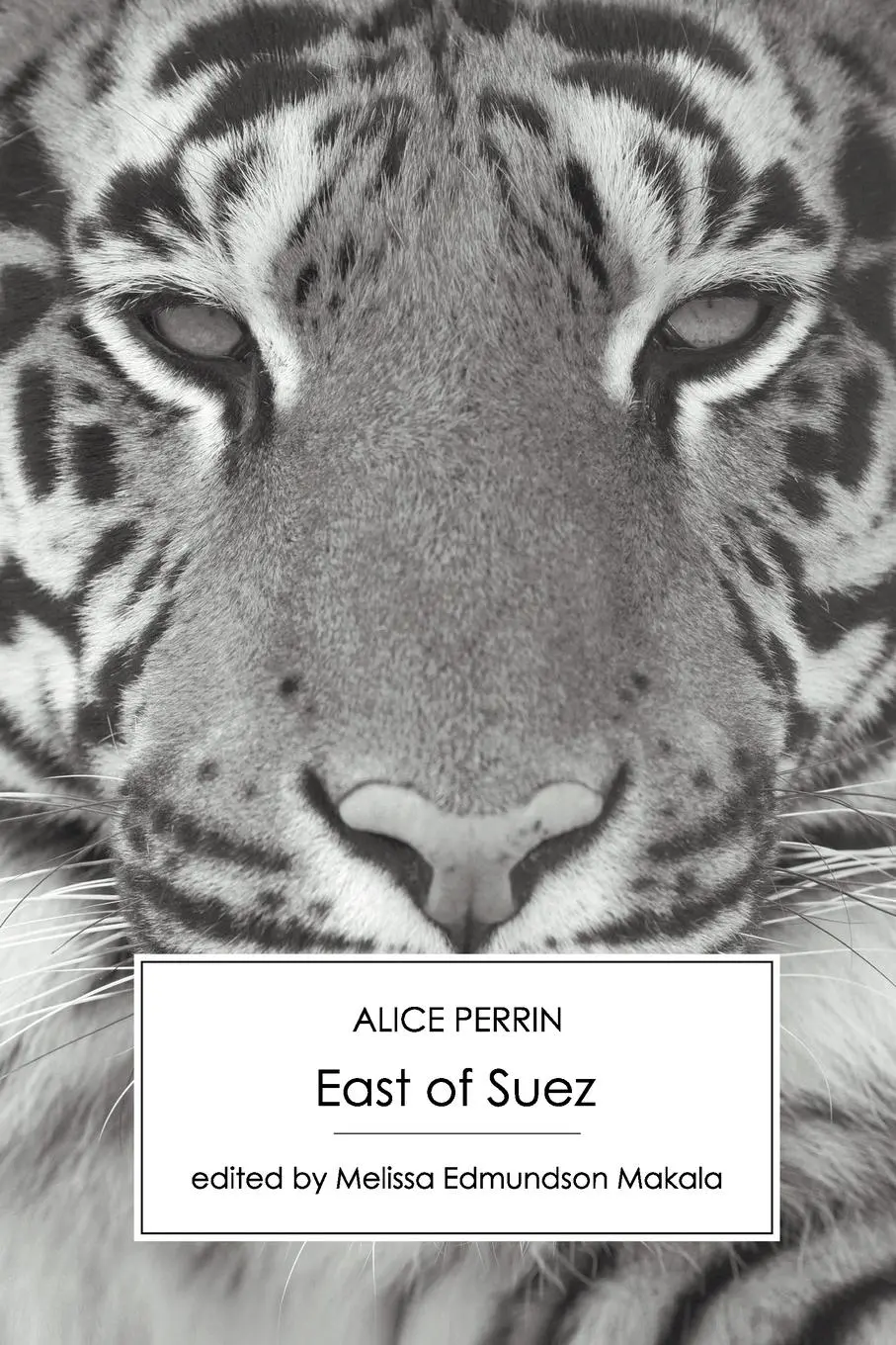 Cover: 9781906469184 | East of Suez | Alice Perrin | Taschenbuch | Englisch | 2010