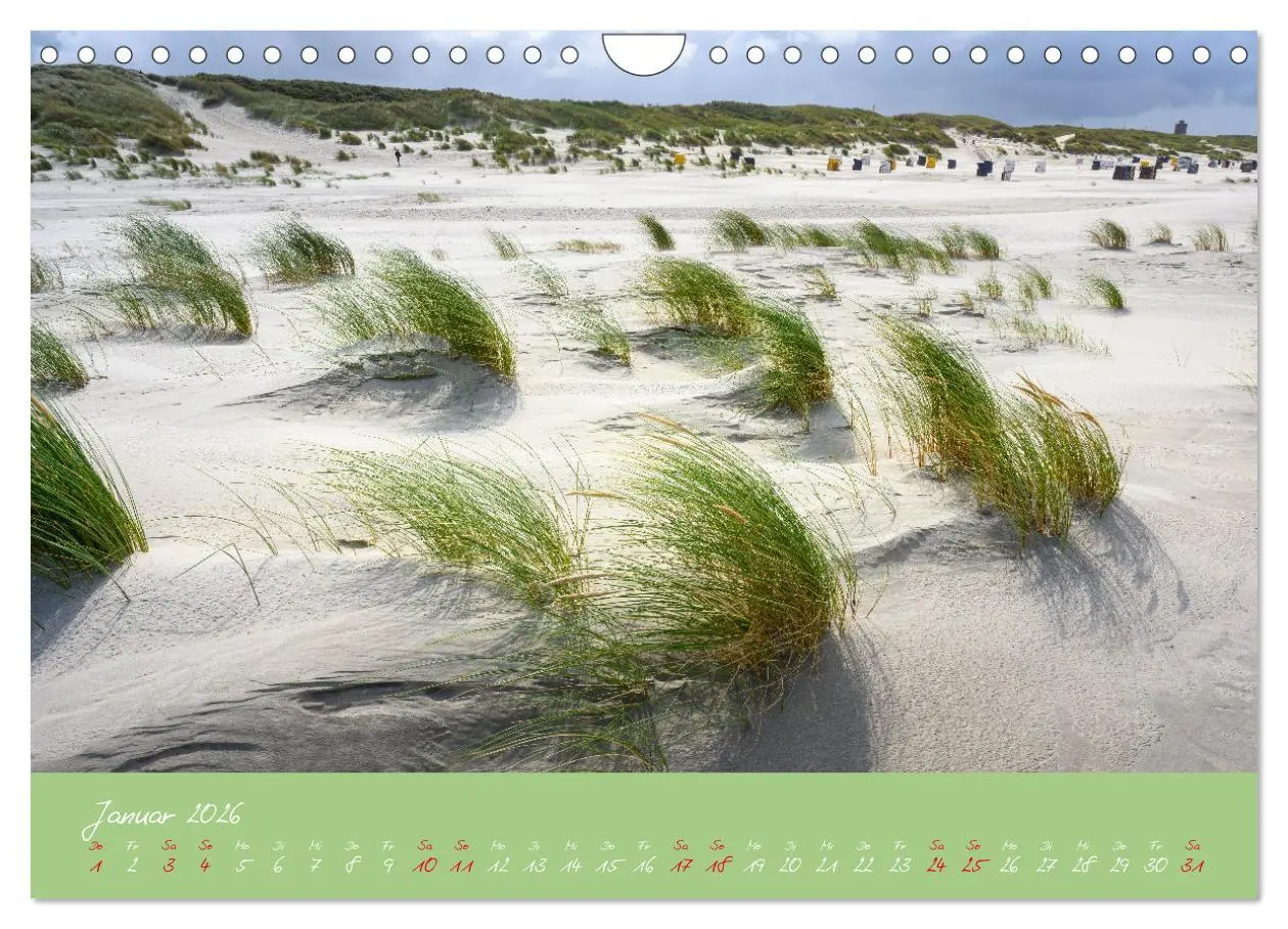 Bild: 9783457329184 | "Töwerland" Juist (Wandkalender 2026 DIN A4 quer), CALVENDO...