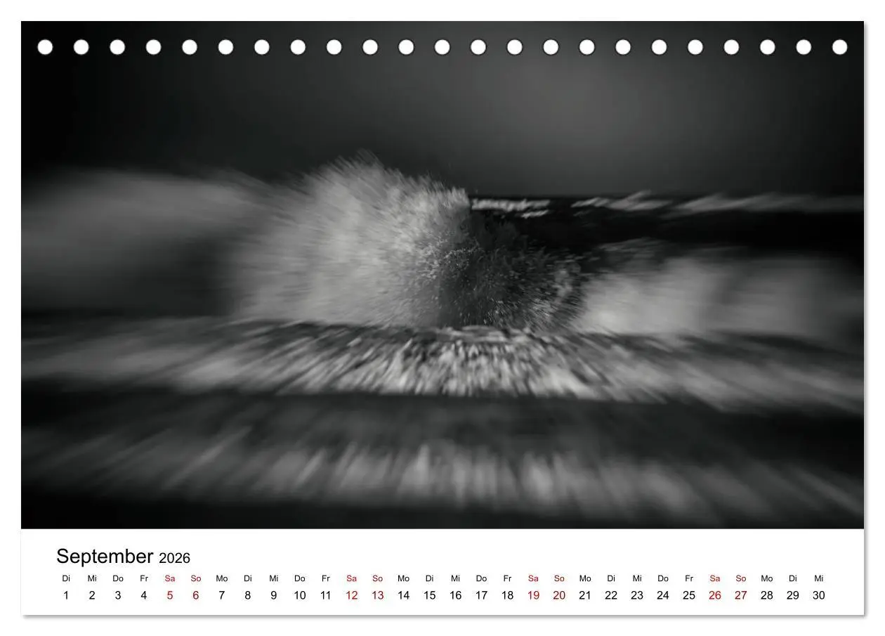 Bild: 9783457879184 | Sylt ... bewegt (Tischkalender 2026 DIN A5 quer), CALVENDO...