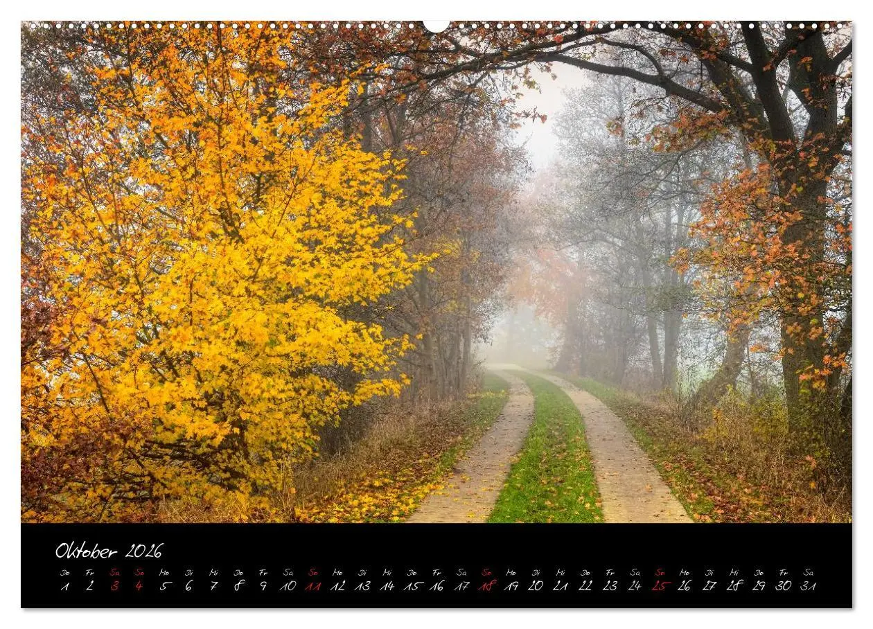 Bild: 9783516039184 | Vier- und Marschlande Hamburgs grüner Südosten (Wandkalender 2026...
