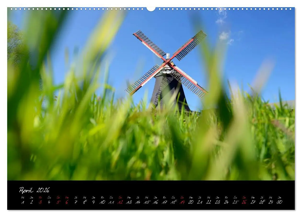 Bild: 9783516039184 | Vier- und Marschlande Hamburgs grüner Südosten (Wandkalender 2026...