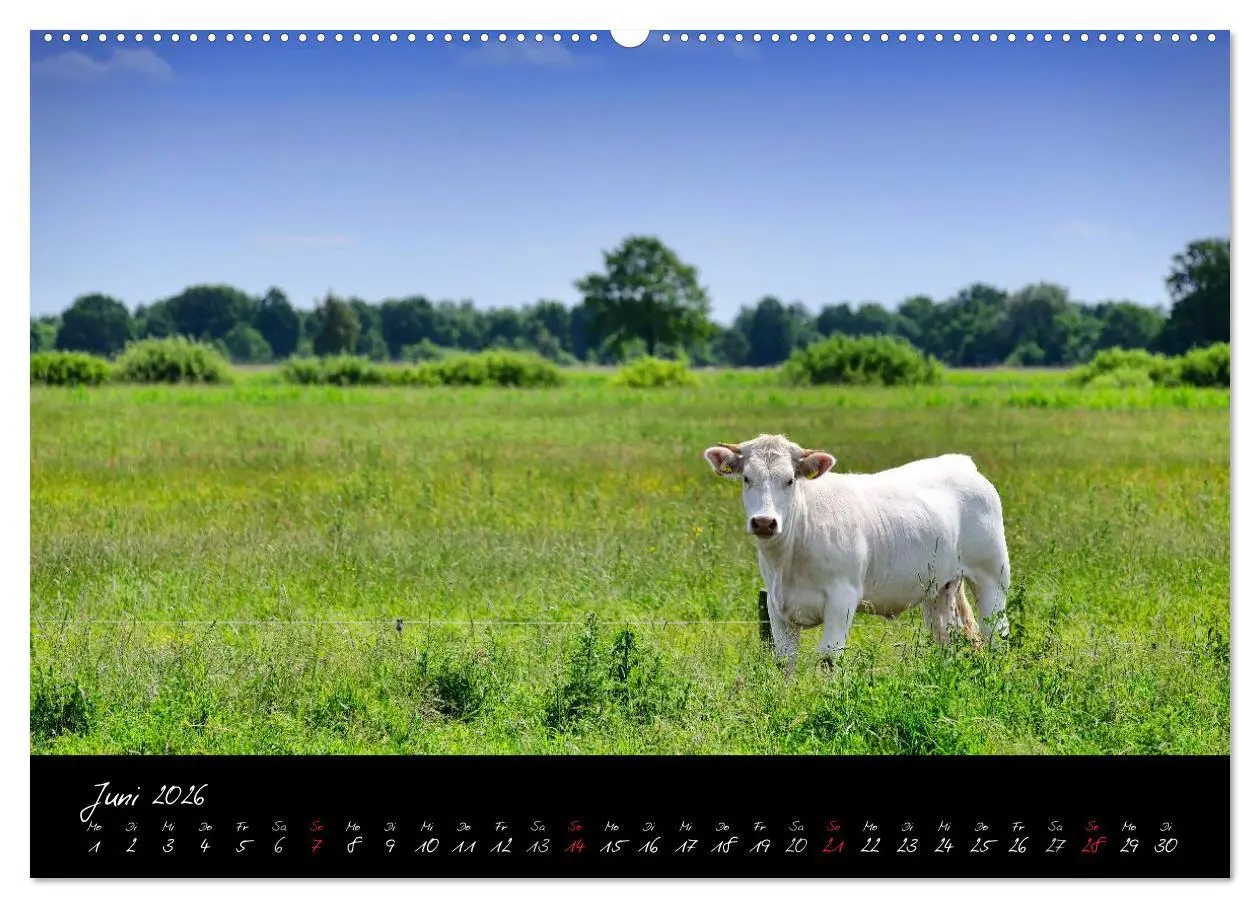 Bild: 9783516039184 | Vier- und Marschlande Hamburgs grüner Südosten (Wandkalender 2026...