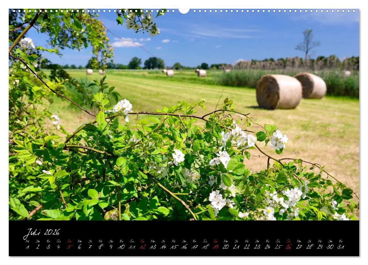 Bild: 9783516039184 | Vier- und Marschlande Hamburgs grüner Südosten (Wandkalender 2026...