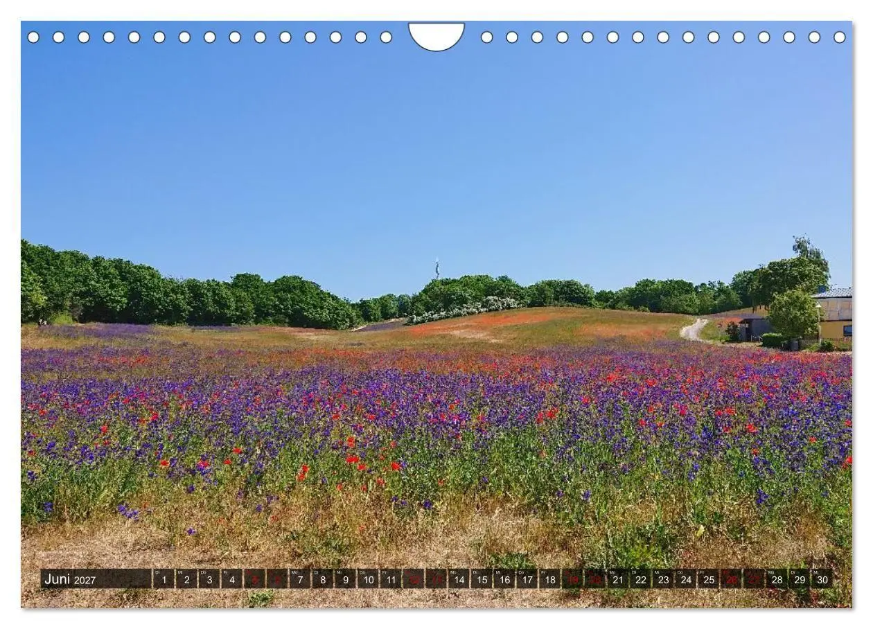 Bild: 9783516899184 | Das Mönchgut und Thiessow (Wandkalender 2027 DIN A4 quer), CALVENDO...