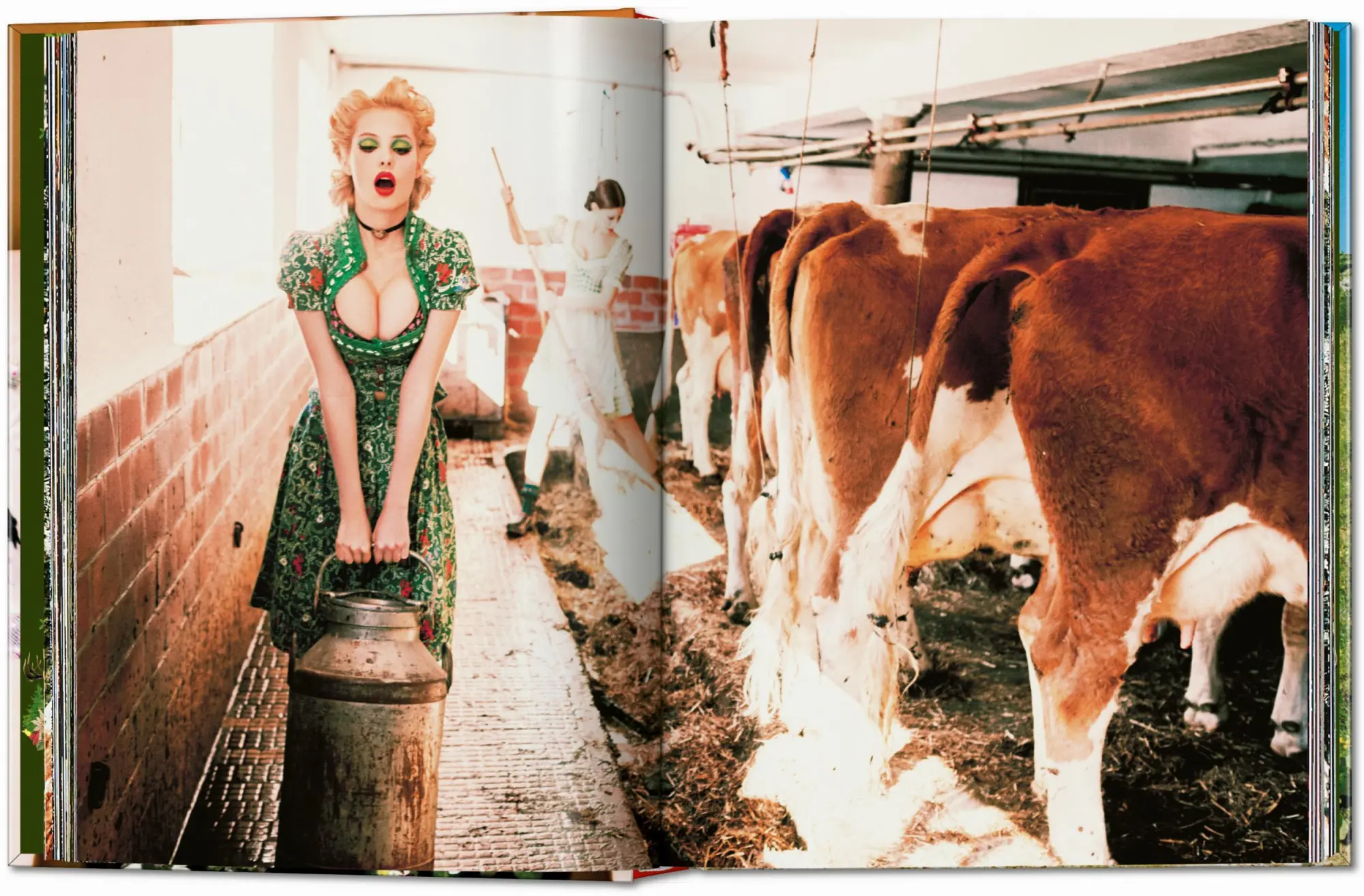 Bild: 9783836599184 | Ellen von Unwerth. Heimat | Ellen von Unwerth | Buch | 452 S. | 2024