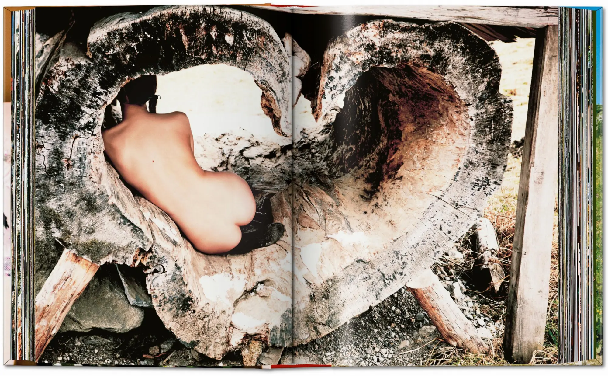 Bild: 9783836599184 | Ellen von Unwerth. Heimat | Ellen von Unwerth | Buch | 452 S. | 2024