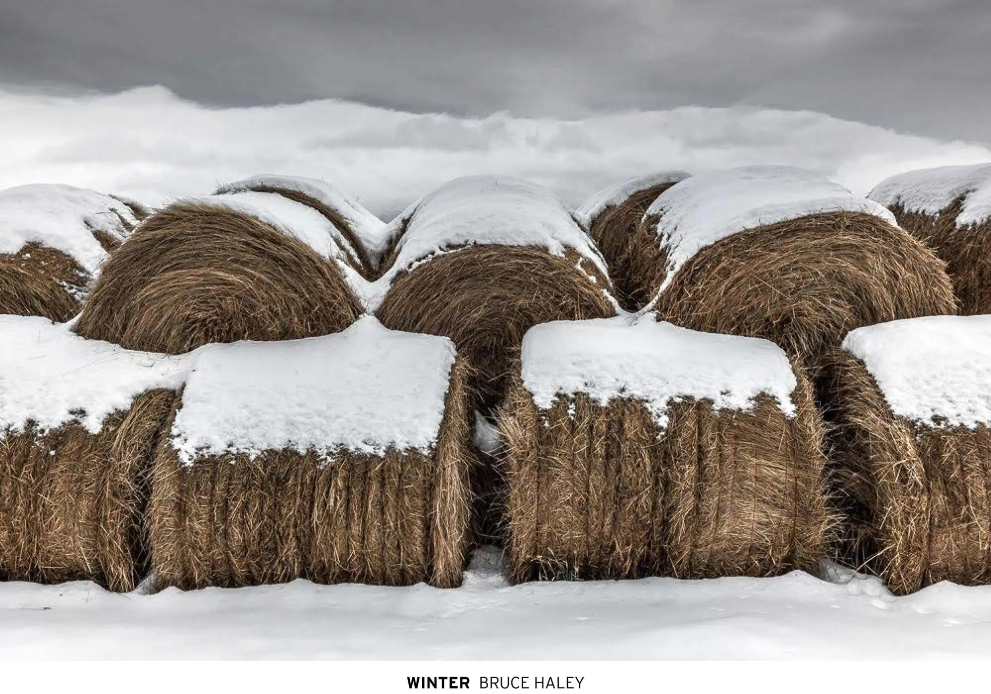 Cover: 9781954119284 | Winter | Bruce Haley | Buch | Gebunden | Englisch | 2023