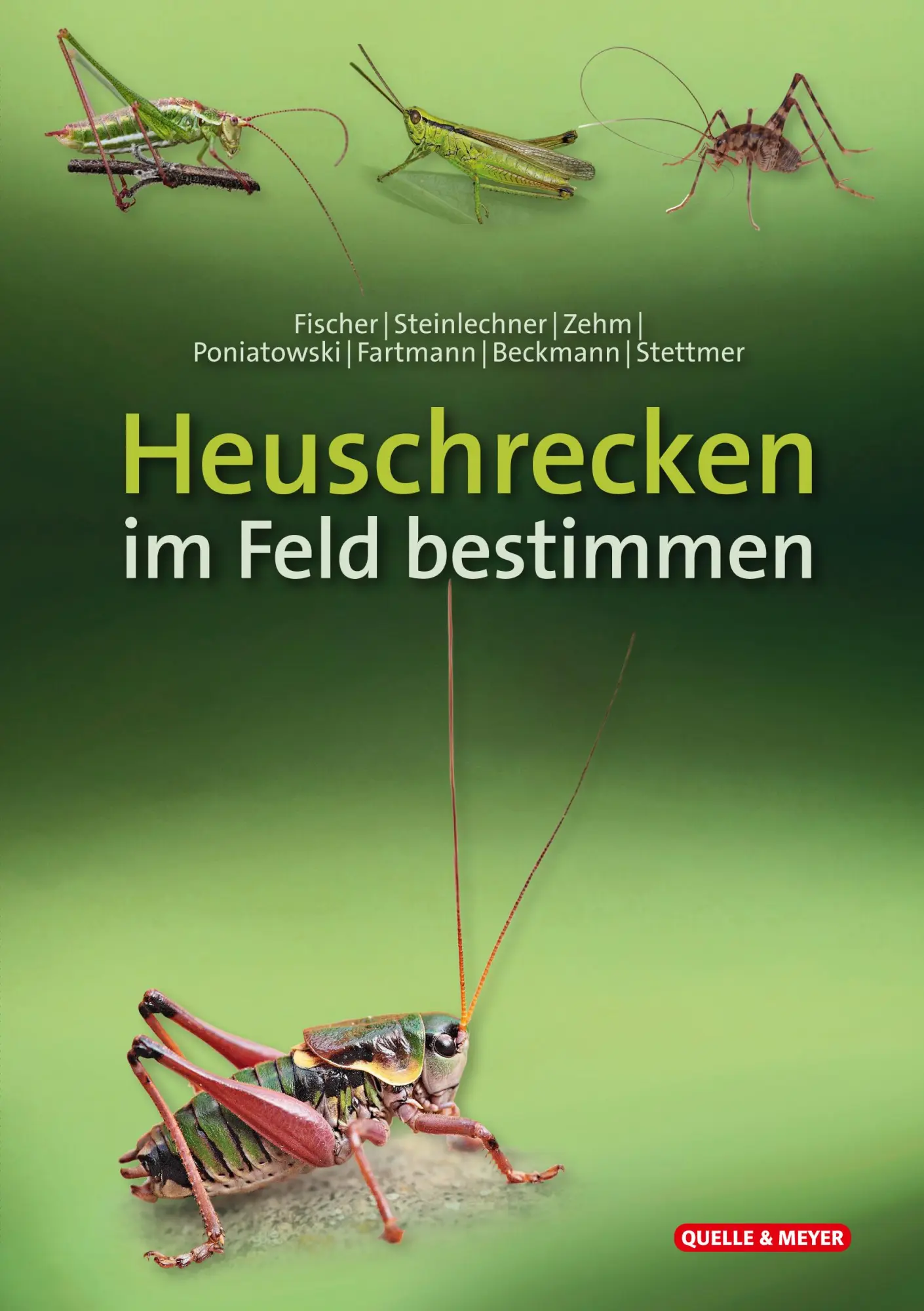 Cover: 9783494019284 | Heuschrecken im Feld bestimmen | Jürgen Fischer (u. a.) | Buch | 10 S.