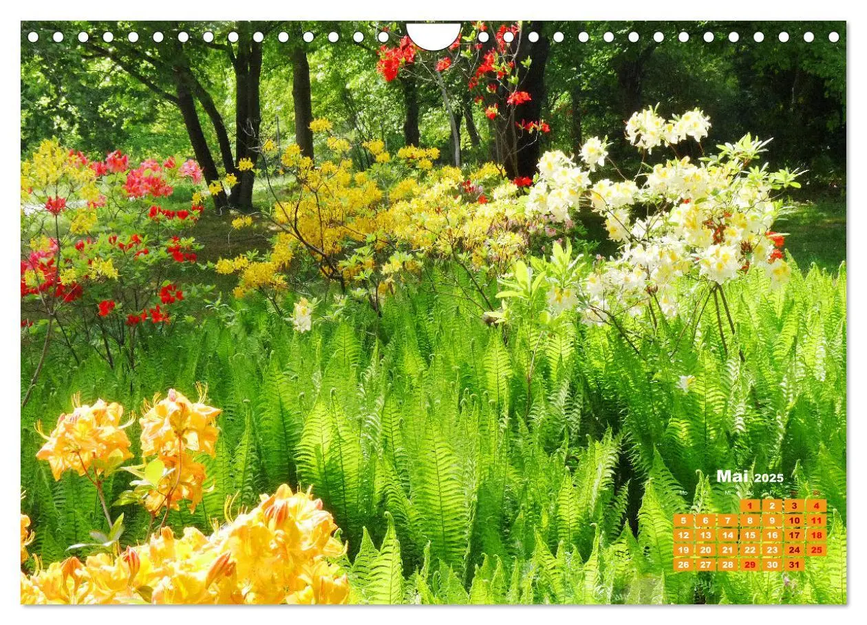 Bild: 9783383989384 | Urlaub im Garten (Wandkalender 2025 DIN A4 quer), CALVENDO...
