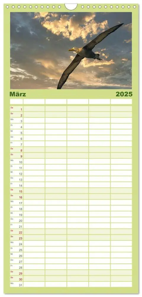 Bild: 9783457099384 | Familienplaner 2025 - Die faszinierende Tierwelt der...