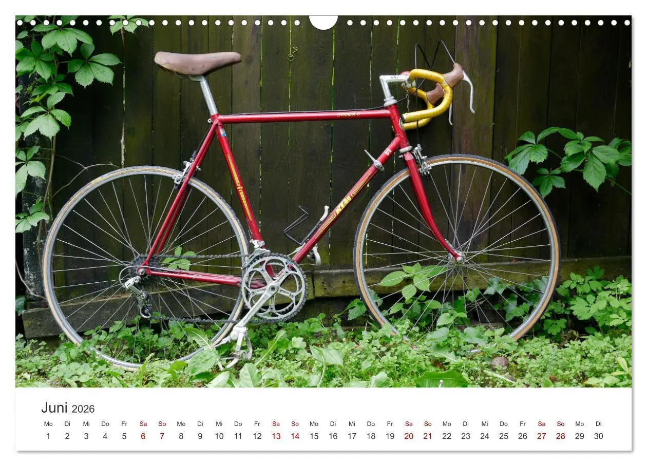 Bild: 9783457549384 | Stahlrenner - Rennrad-Klassiker aus Europa (Wandkalender 2026 DIN...