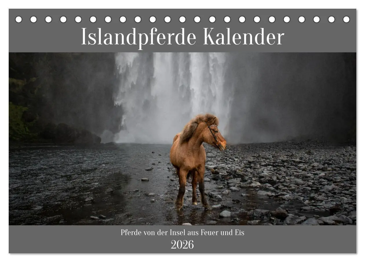 Cover: 9783457619384 | Islandpferde Kalender - Pferde von der Insel aus Feuer und Eis...