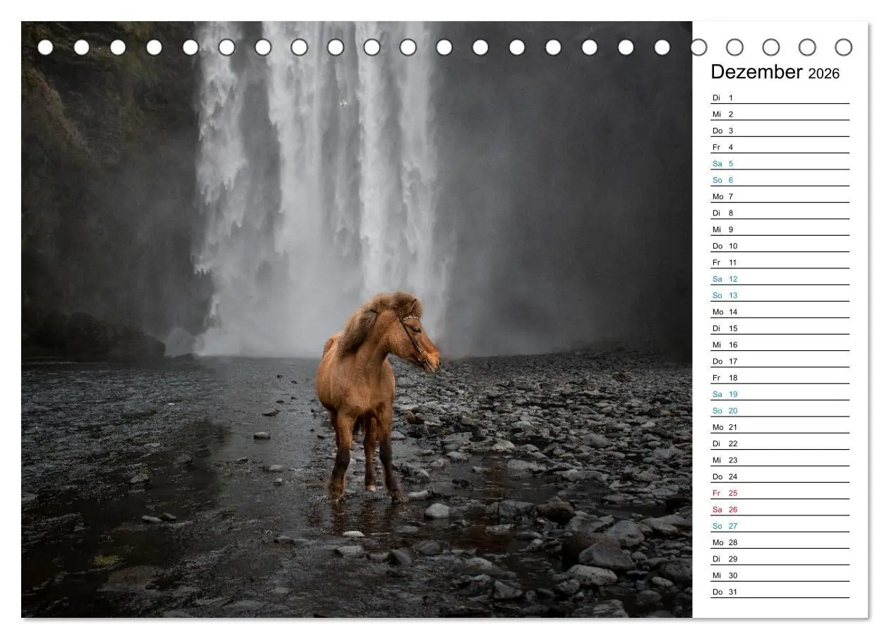 Bild: 9783457619384 | Islandpferde Kalender - Pferde von der Insel aus Feuer und Eis...