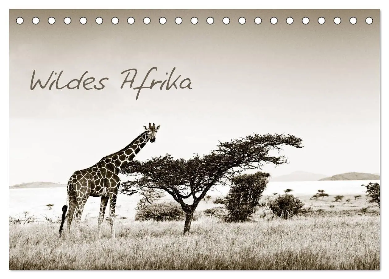Cover: 9783516189384 | Wildes Afrika (Tischkalender 2026 DIN A5 quer), CALVENDO...