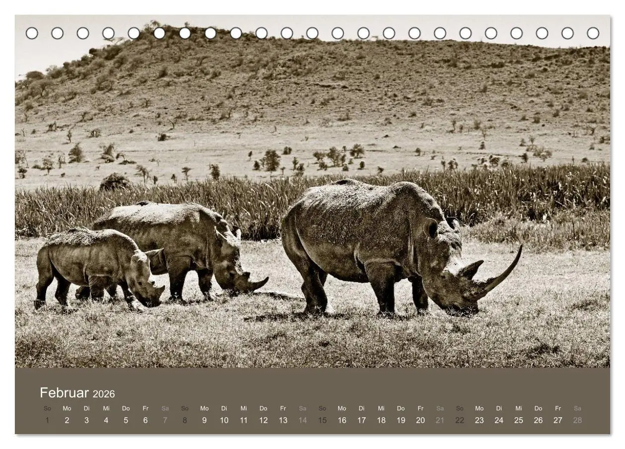 Bild: 9783516189384 | Wildes Afrika (Tischkalender 2026 DIN A5 quer), CALVENDO...