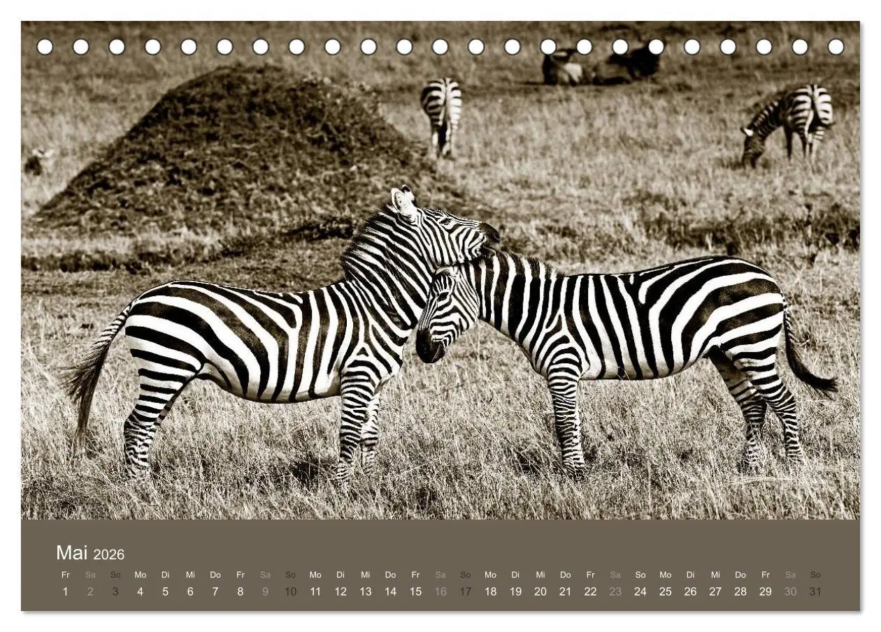 Bild: 9783516189384 | Wildes Afrika (Tischkalender 2026 DIN A5 quer), CALVENDO...