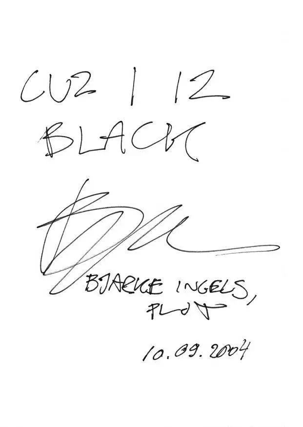 Bild: 9783035629484 | Why Do Architects Wear Black? | Cordula Rau | Buch | 292 S. | Englisch