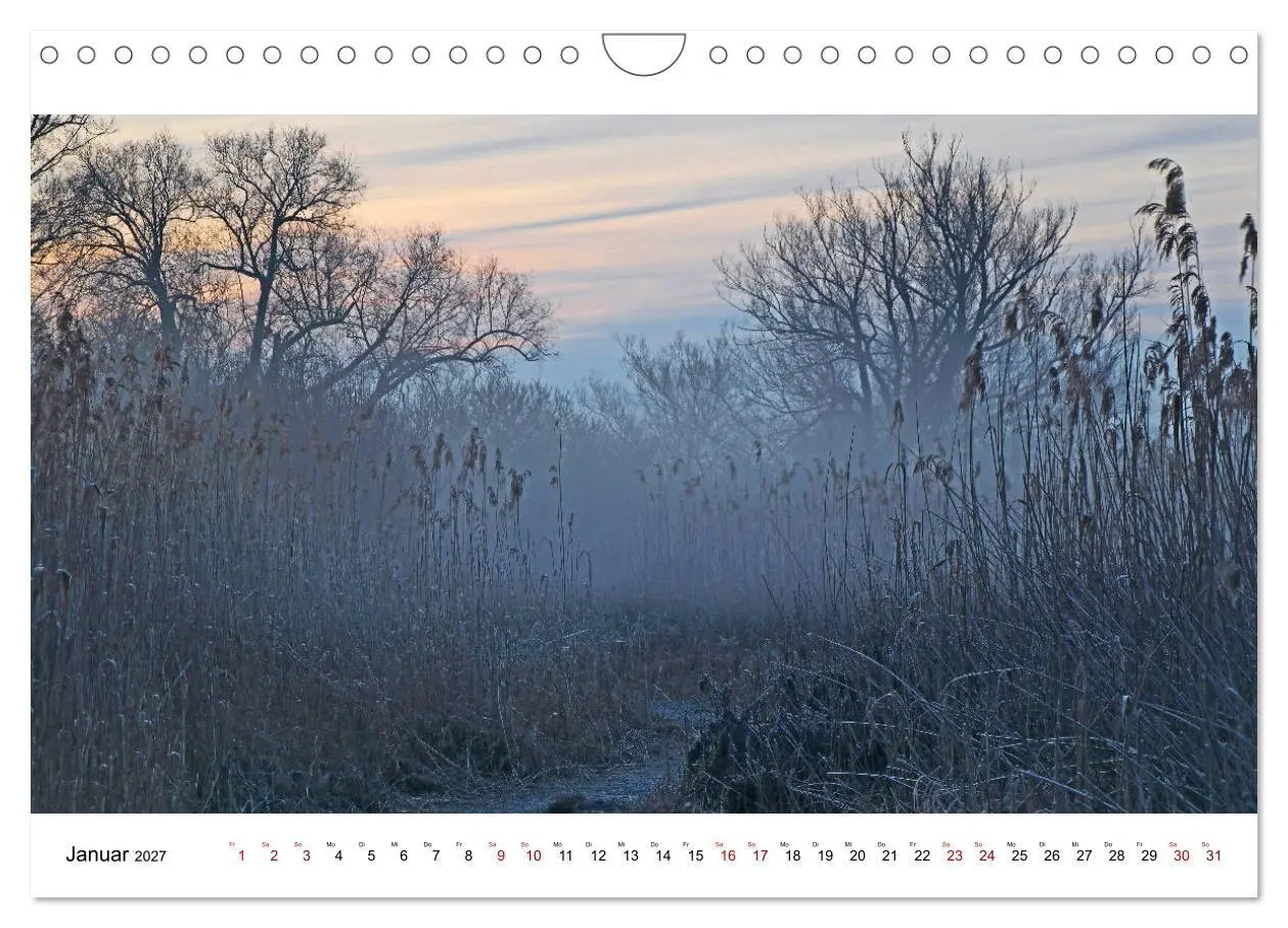 Bild: 9783569649484 | Hegau und See (Wandkalender 2027 DIN A4 quer), CALVENDO Monatskalender
