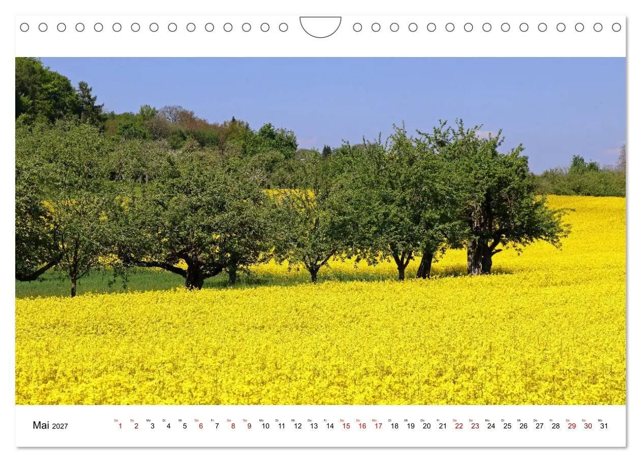 Bild: 9783569649484 | Hegau und See (Wandkalender 2027 DIN A4 quer), CALVENDO Monatskalender