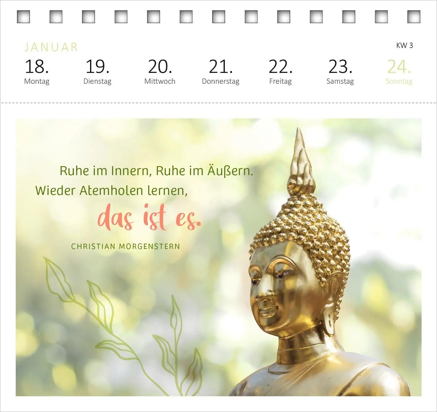 Bild: 4014489139584 | Postkartenkalender 365 Tage Gelassenheit 2027 | Kalender | 108 S.