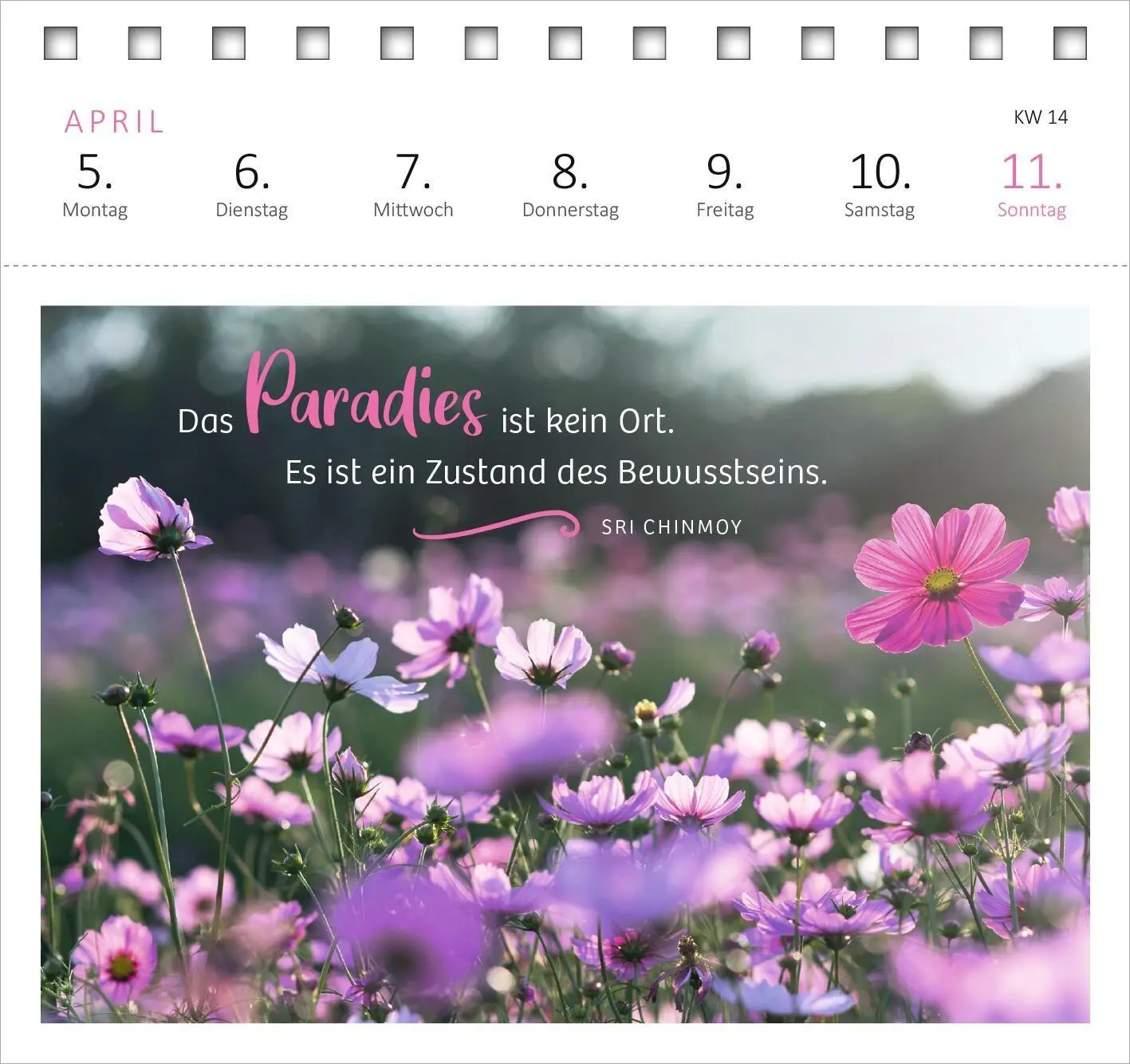 Bild: 4014489139584 | Postkartenkalender 365 Tage Gelassenheit 2027 | Kalender | 108 S.