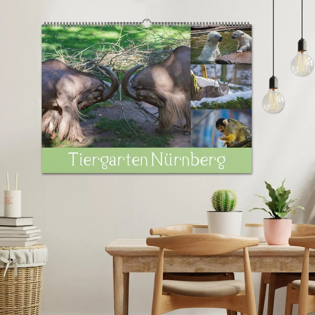 Bild: 9783457909584 | Tiergarten Nürnberg (Wandkalender 2026 DIN A2 quer), CALVENDO...