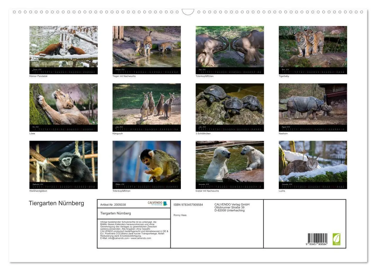 Bild: 9783457909584 | Tiergarten Nürnberg (Wandkalender 2026 DIN A2 quer), CALVENDO...