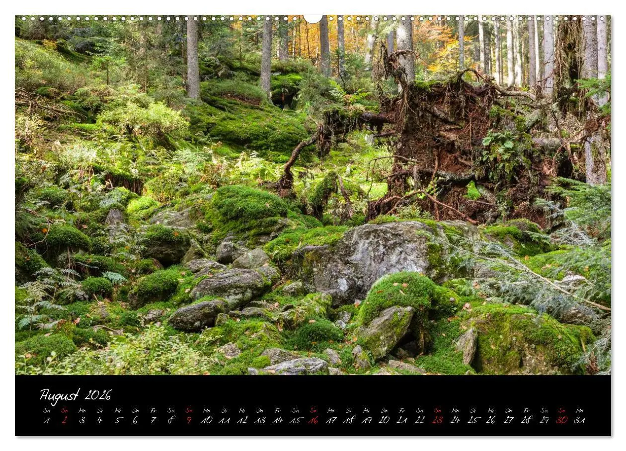 Bild: 9783516239584 | Bayerischer Wald (hochwertiger Premium Wandkalender 2026 DIN A2...