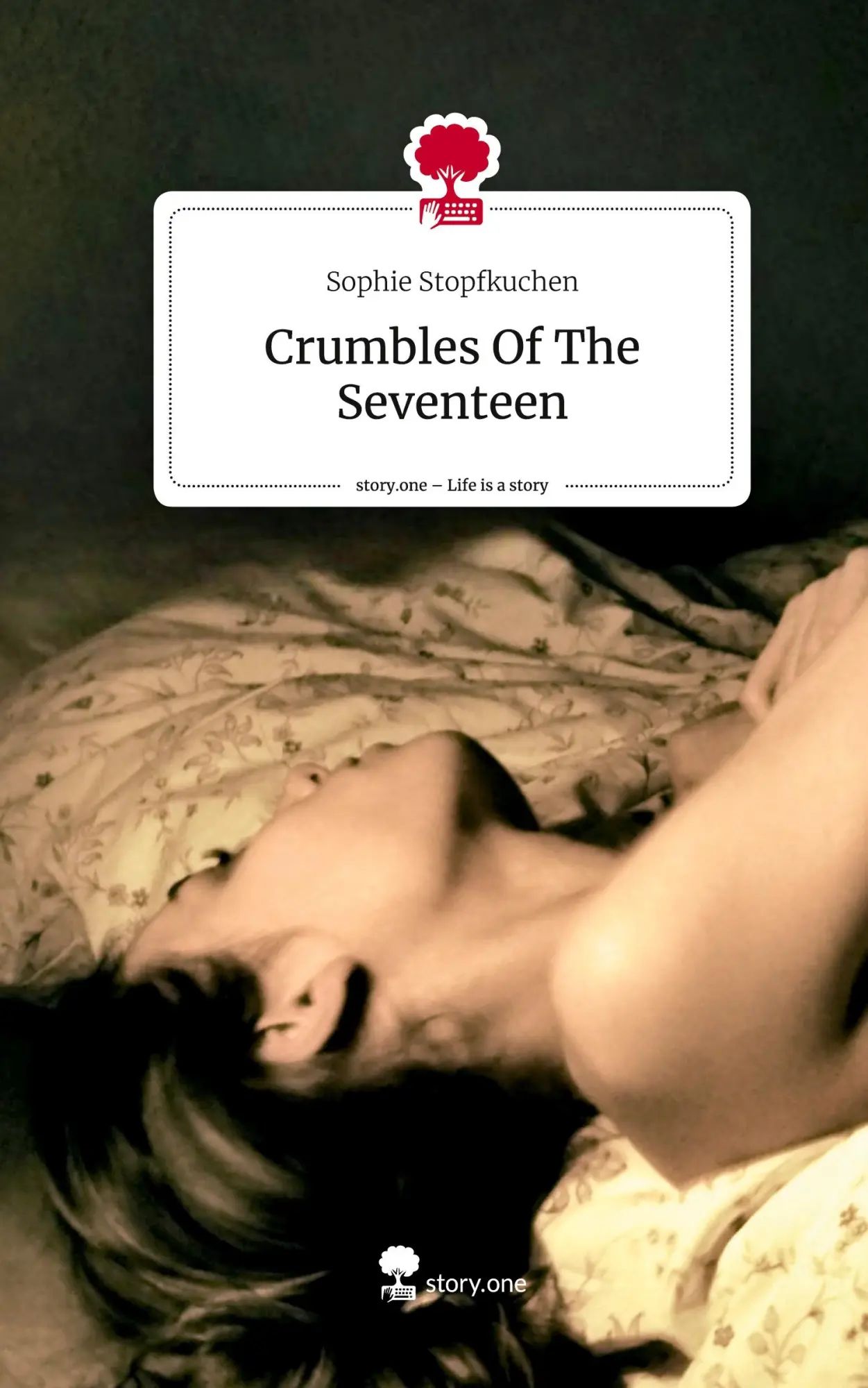 Cover: 9783711579584 | Crumbles Of The Seventeen. Life is a Story - story.one | Stopfkuchen