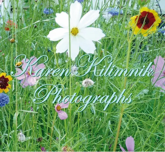 Cover: 9783905929584 | Photographs | Kilimnik | Buch | 252 S. | Englisch | 2014