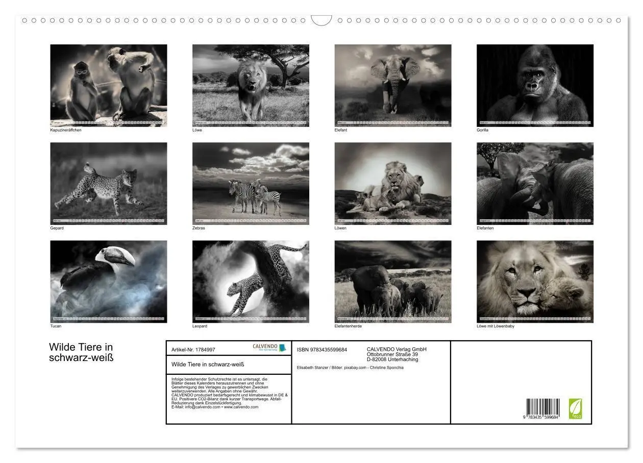 Bild: 9783435599684 | Wilde Tiere in schwarz-weiß (Wandkalender 2025 DIN A2 quer),...
