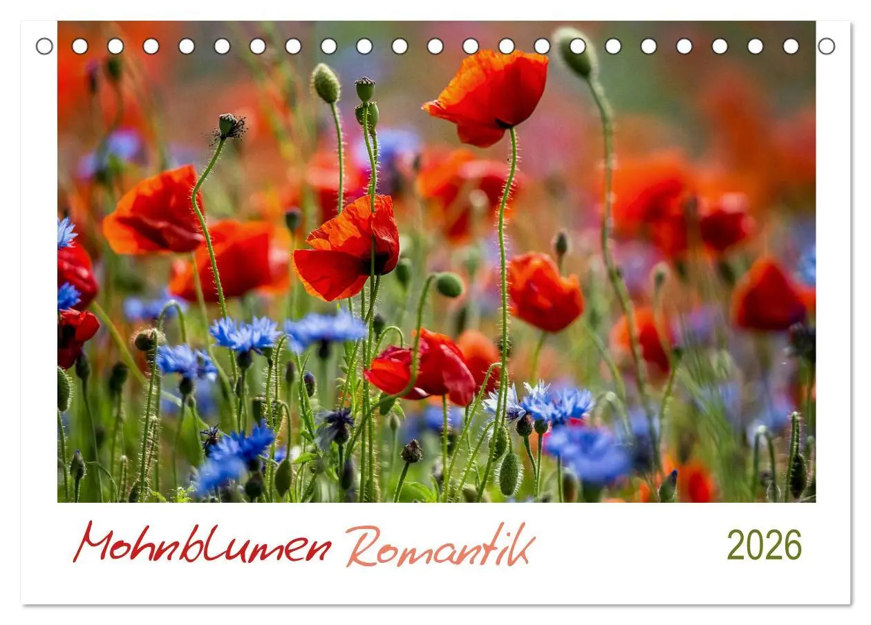 Cover: 9783457689684 | Mohnblumen Romantik (Tischkalender 2026 DIN A5 quer), CALVENDO...