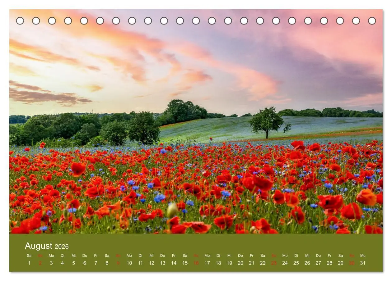 Bild: 9783457689684 | Mohnblumen Romantik (Tischkalender 2026 DIN A5 quer), CALVENDO...