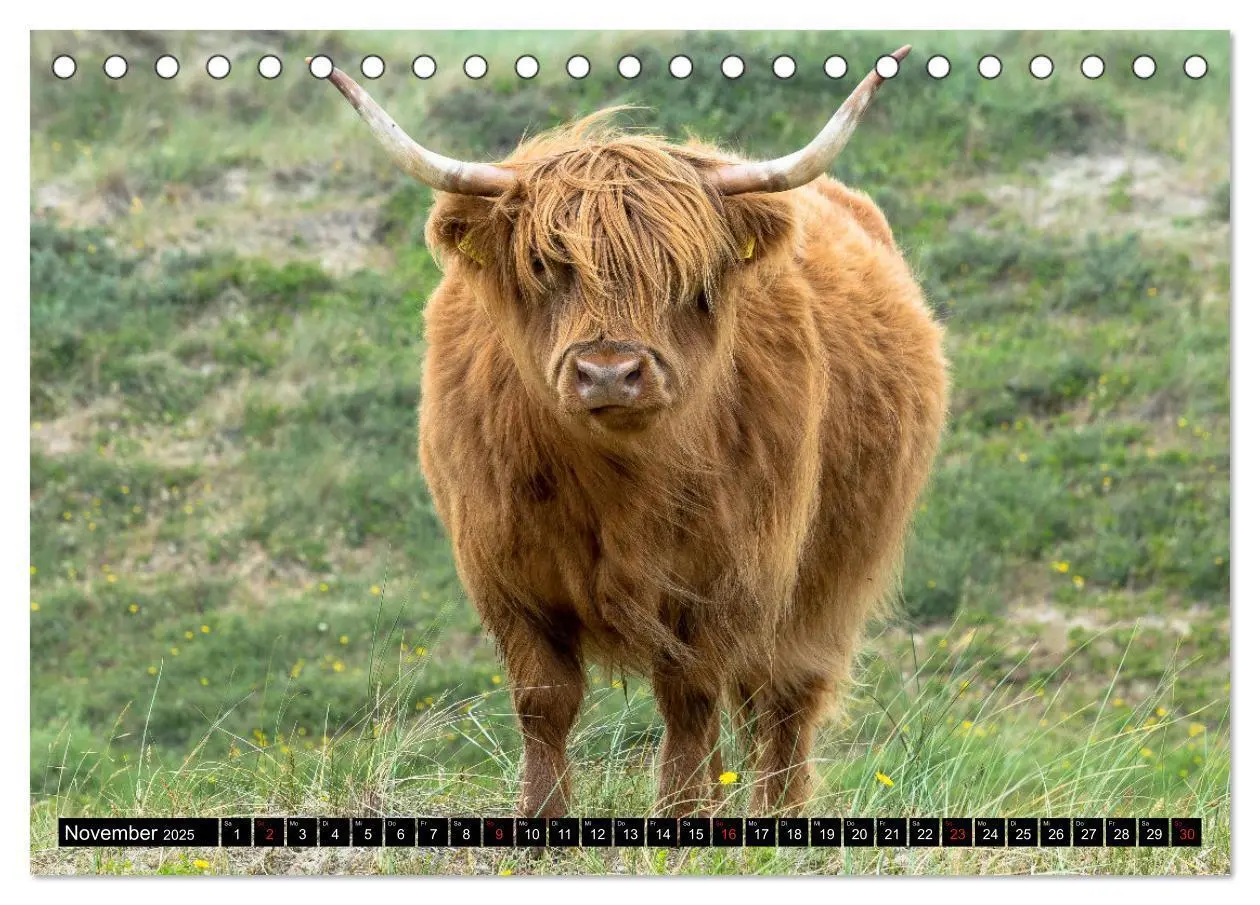 Bild: 9783435279784 | Egmond aan Zee - Natürlich (Tischkalender 2025 DIN A5 quer),...