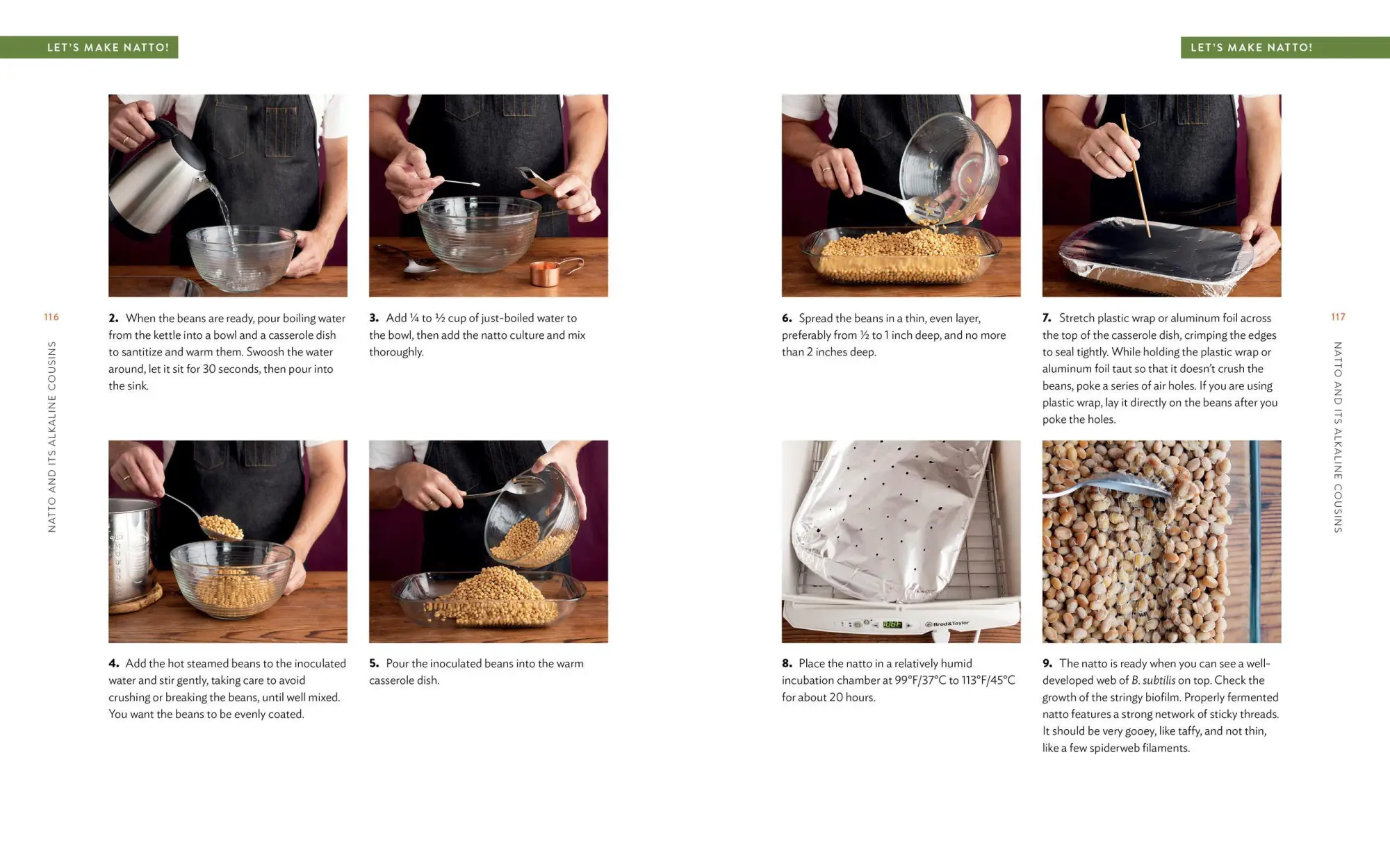 Bild: 9781612129884 | Miso, Tempeh, Natto &amp; Other Tasty Ferments | Kirsten K Shockey (u. a.)