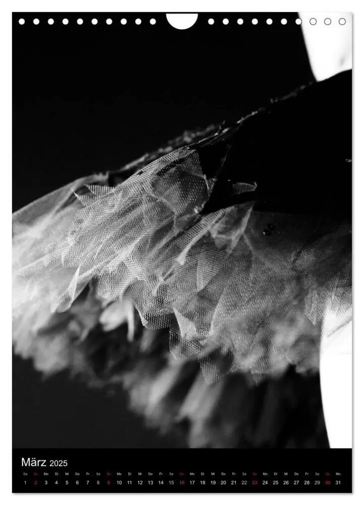 Bild: 9783457049884 | Ballett Schwarzweiss (Wandkalender 2025 DIN A4 hoch), CALVENDO...