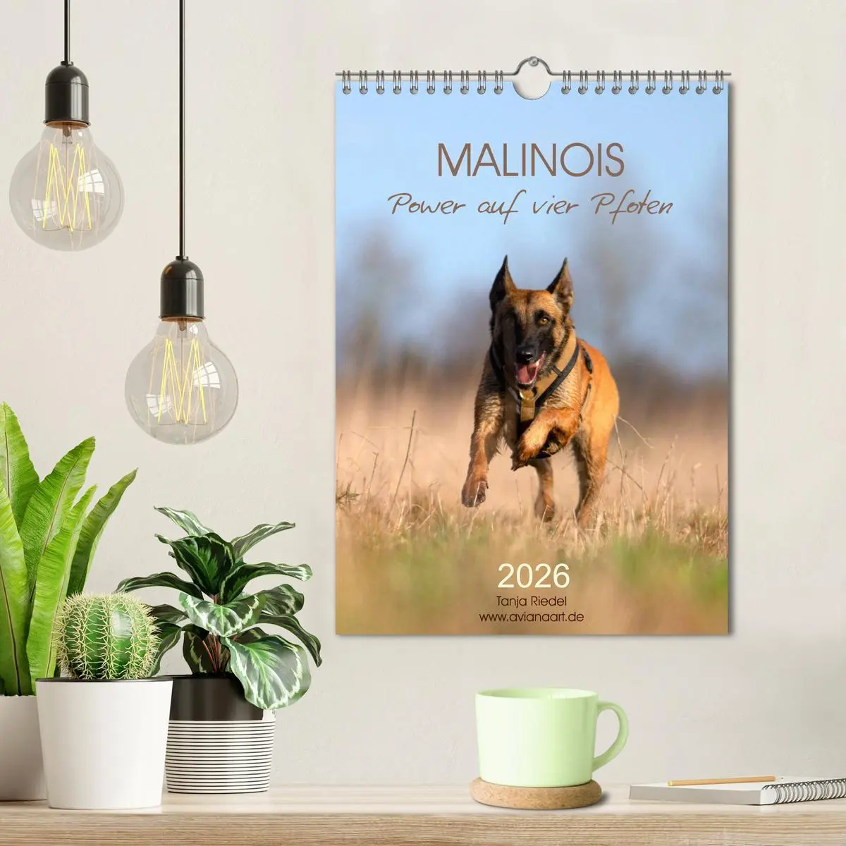 Bild: 9783516379884 | Malinois Power auf vier Pfoten (Wandkalender 2026 DIN A4 hoch),...