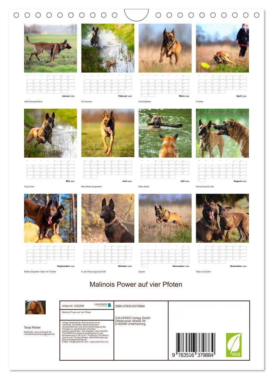Bild: 9783516379884 | Malinois Power auf vier Pfoten (Wandkalender 2026 DIN A4 hoch),...