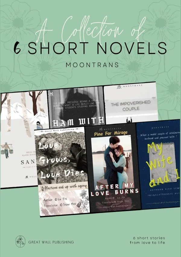 Cover: 9783757569884 | A Collection of 6 Short Novels | DE | Yin Lu (u. a.) | Taschenbuch