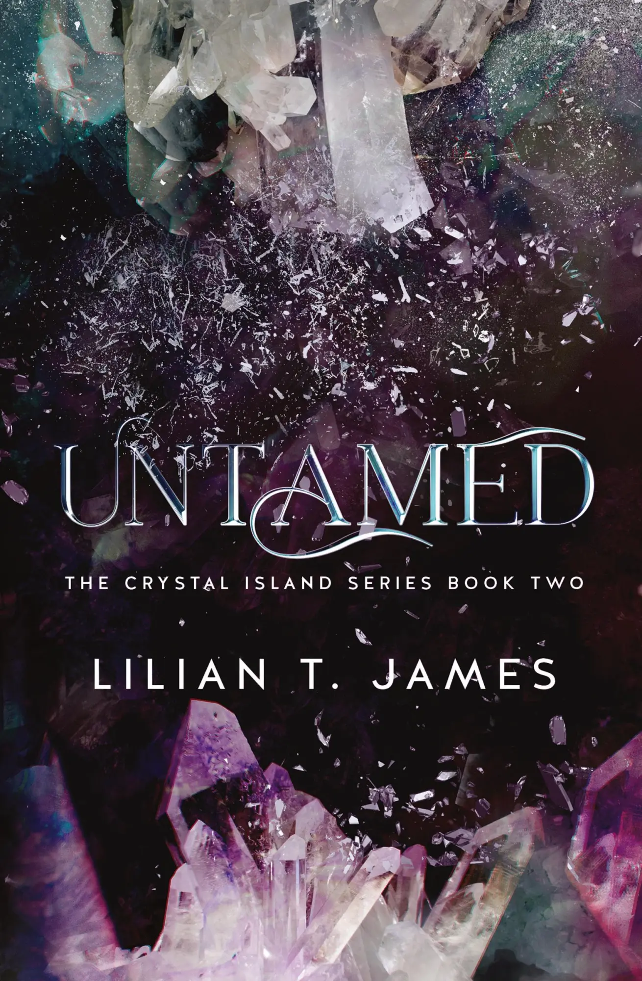 Cover: 9781737889984 | Untamed | Lilian T. James | Taschenbuch | Englisch | 2022