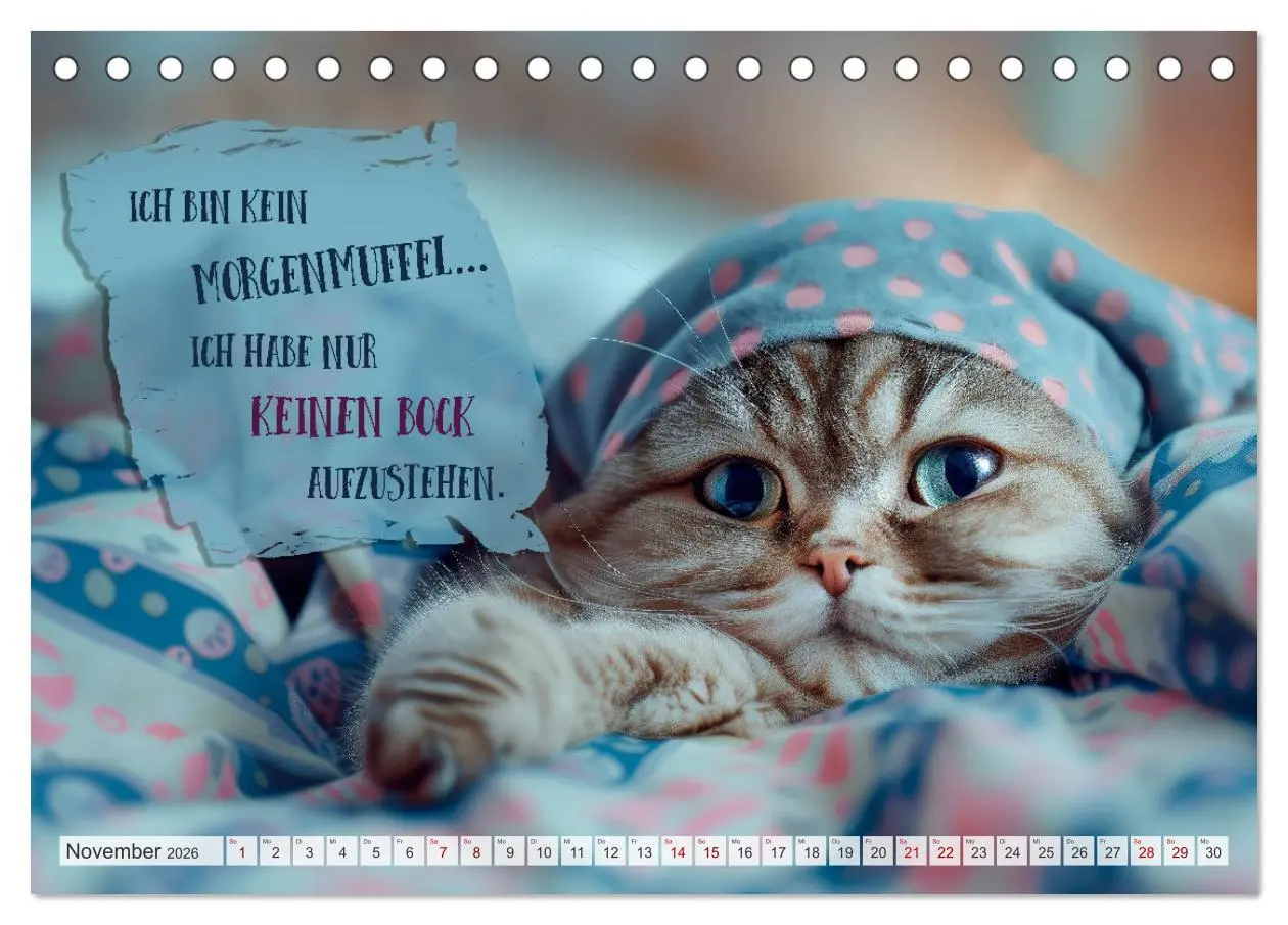 Bild: 9783457390085 | MORGENMUFFEL Mürrische Weisheiten (Tischkalender 2026 DIN A5 quer),...