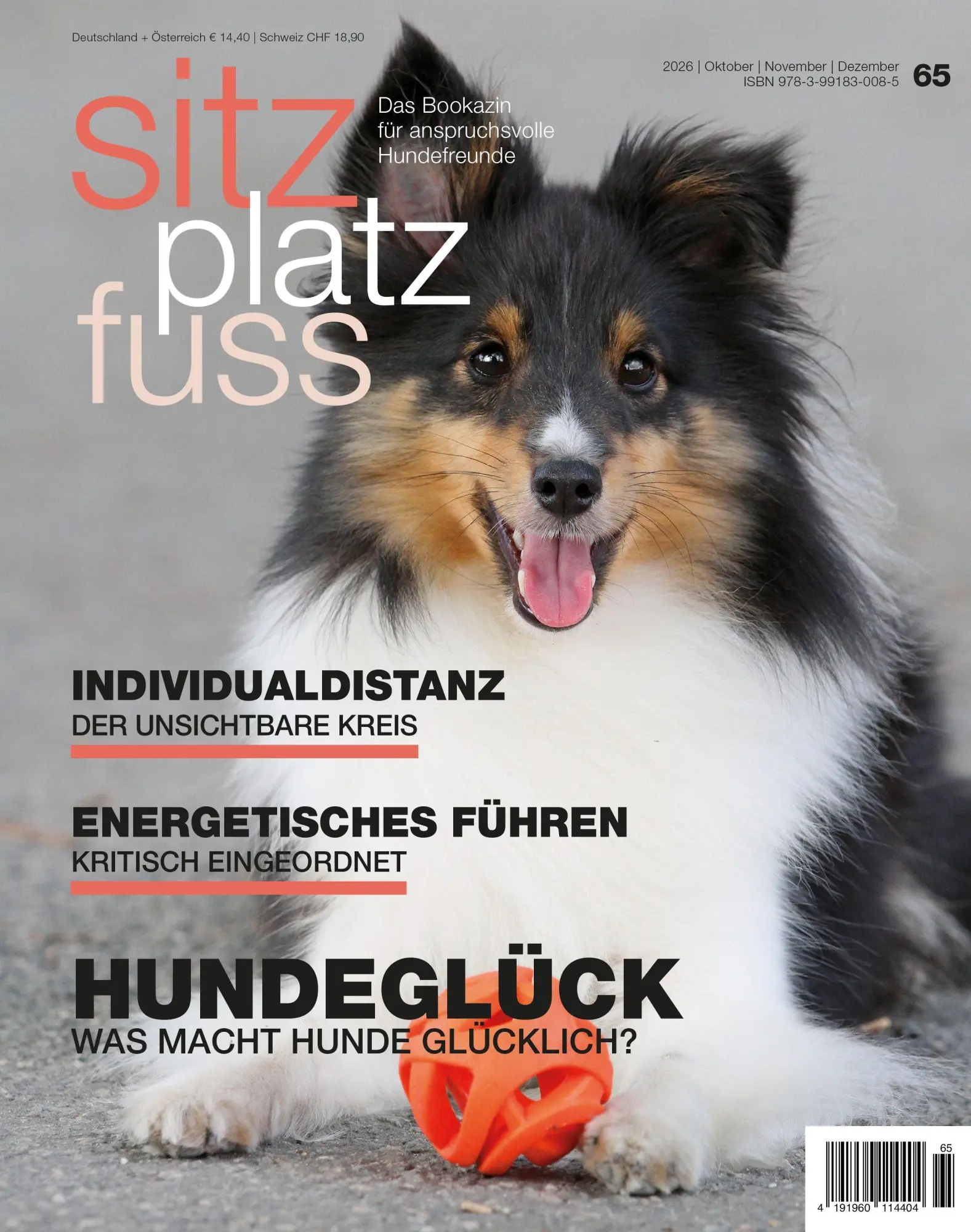 SitzPlatzFuss, Ausgabe 65 - Neuware