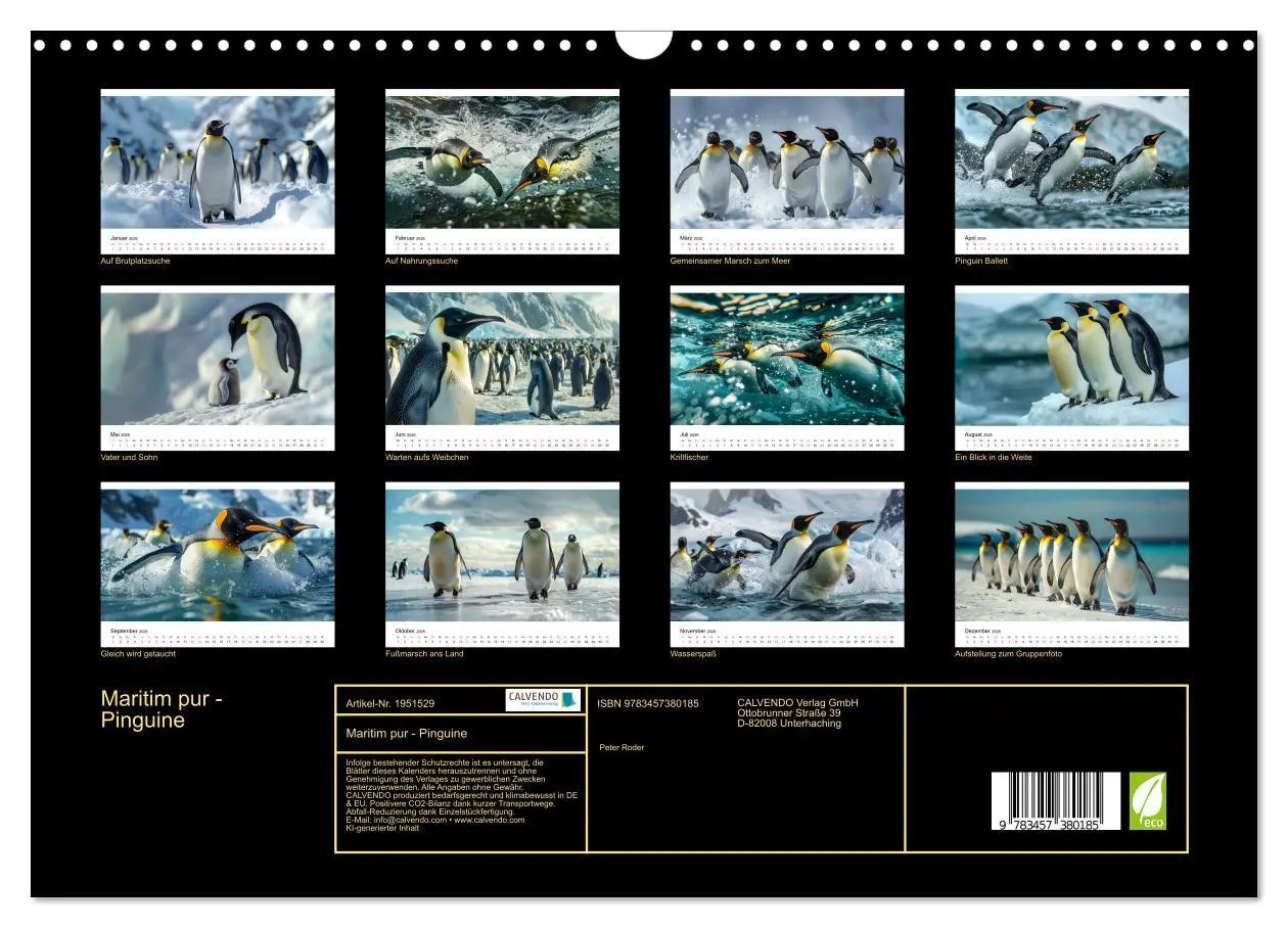Bild: 9783457380185 | Maritim pur - Pinguine (Wandkalender 2026 DIN A3 quer), CALVENDO...