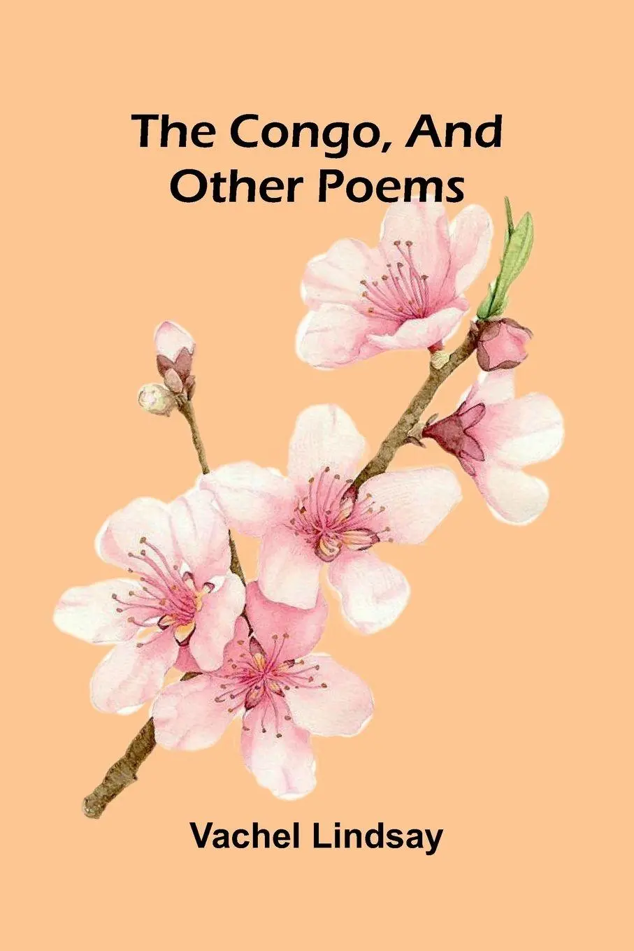 Cover: 9789369050185 | The Congo, and Other Poems | Vachel Lindsay | Taschenbuch | Englisch