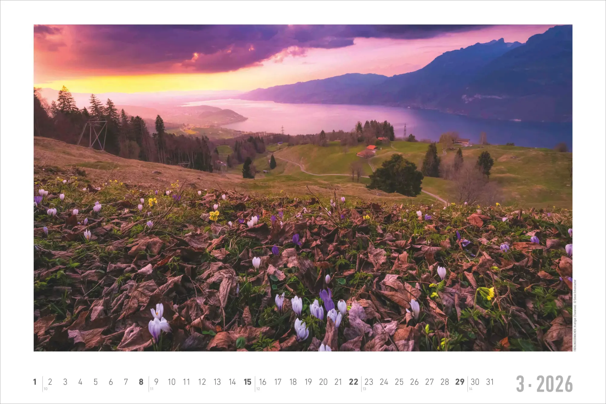 Bild: 4069095000285 | Faszinierende Alpen 2026 - Bildkalender 49,5x33 cm | Kalender | 14 S.