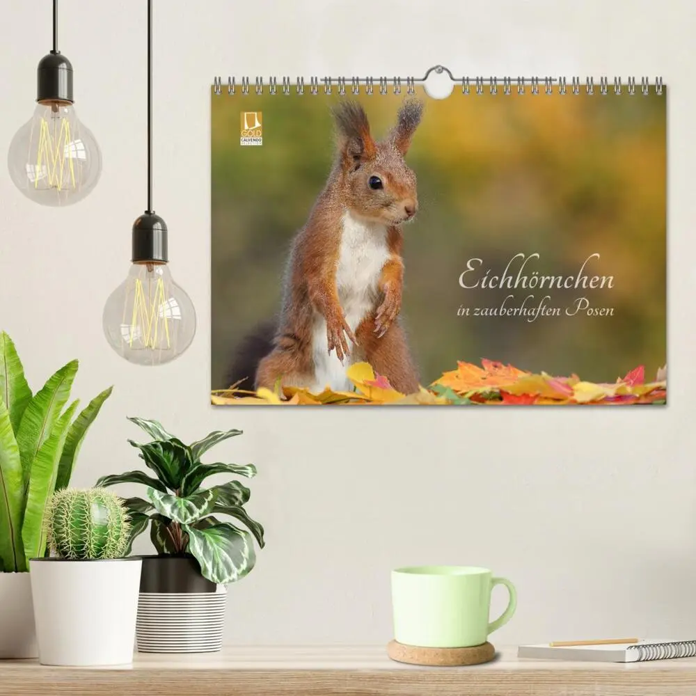 Bild: 9783435280285 | Eichhörnchen in zauberhaften Posen (Wandkalender 2025 DIN A4 quer),...