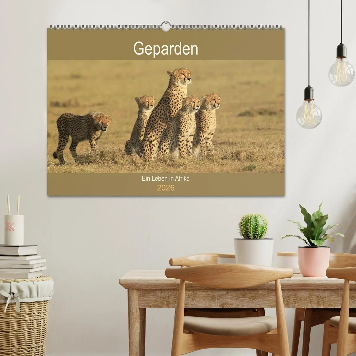 Bild: 9783457990285 | Geparden - Ein Leben in Afrika (Wandkalender 2026 DIN A2 quer),...
