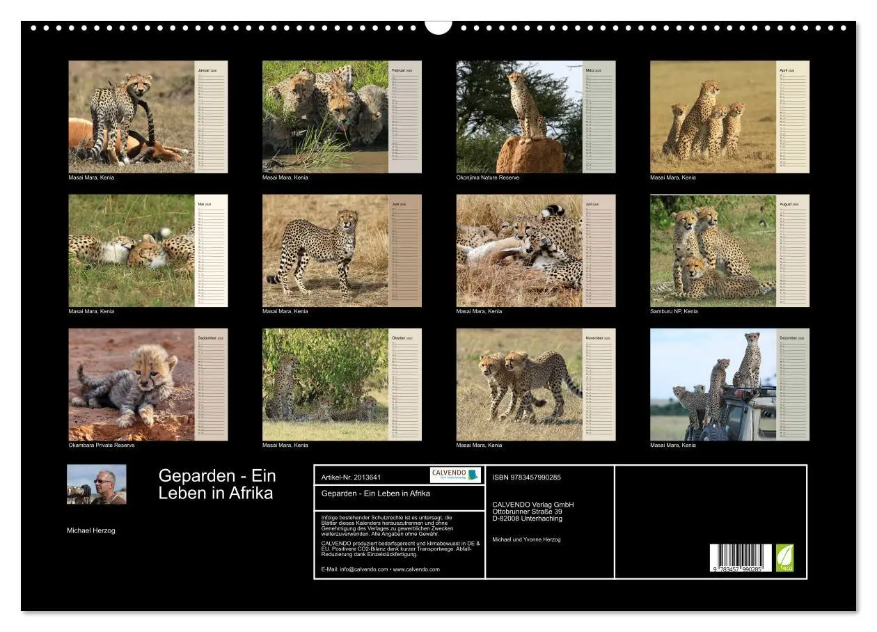 Bild: 9783457990285 | Geparden - Ein Leben in Afrika (Wandkalender 2026 DIN A2 quer),...