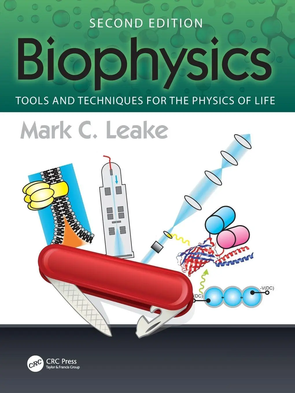 Cover: 9781032370385 | Biophysics | Tools and Techniques for the Physics of Life | Leake